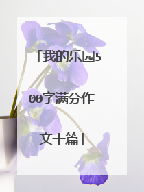 我的乐园500字满分作文十篇