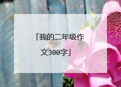 我的二年级作文300字