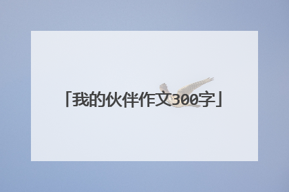我的伙伴作文300字