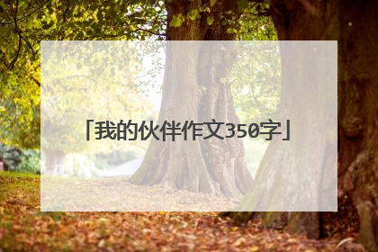 我的伙伴作文350字