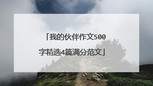 我的伙伴作文500字精选4篇满分范文