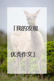 我的发现优秀作文