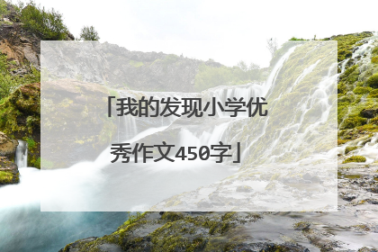 我的发现小学优秀作文450字