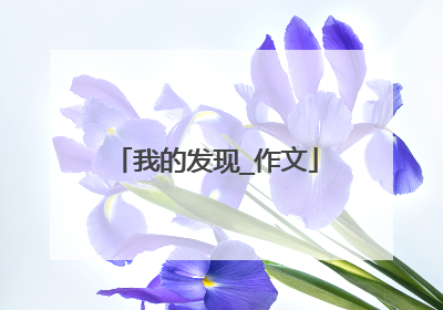 我的发现_作文