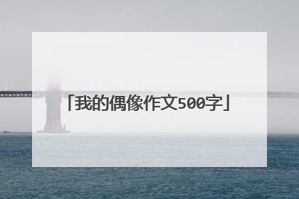 我的偶像作文500字