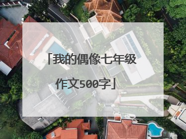 我的偶像七年级作文500字