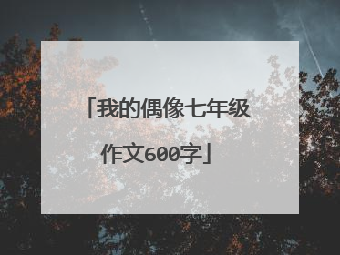 我的偶像七年级作文600字