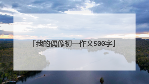 我的偶像初一作文500字