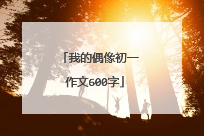 我的偶像初一作文600字