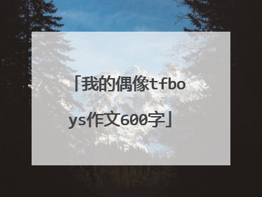 我的偶像tfboys作文600字