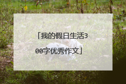我的假日生活300字优秀作文