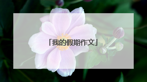 我的假期作文