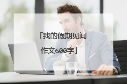 我的假期见闻作文600字