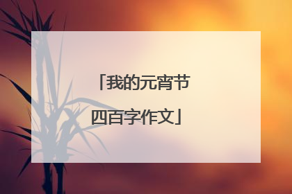 我的元宵节四百字作文