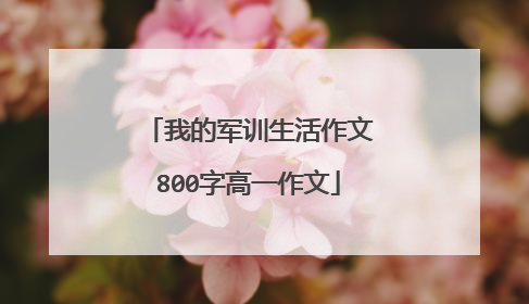 我的军训生活作文800字高一作文