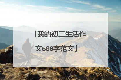 我的初三生活作文600字范文