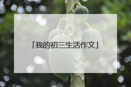 我的初三生活作文