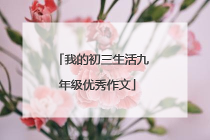 我的初三生活九年级优秀作文