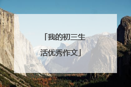 我的初三生活优秀作文