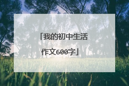 我的初中生活作文600字