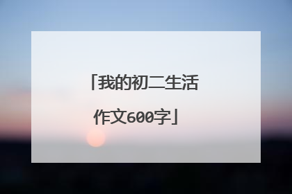 我的初二生活作文600字