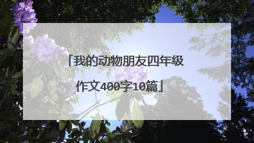 我的动物朋友四年级作文400字10篇
