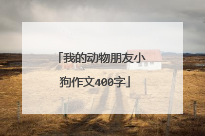 我的动物朋友小狗作文400字