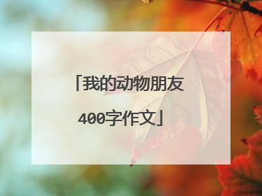 我的动物朋友400字作文