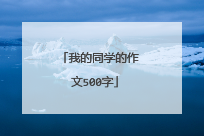 我的同学的作文500字
