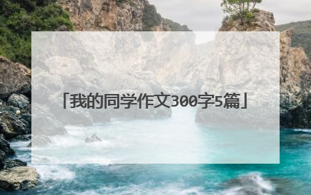 我的同学作文300字5篇