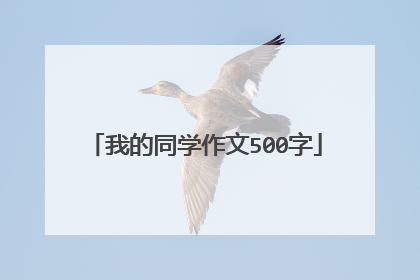 我的同学作文500字