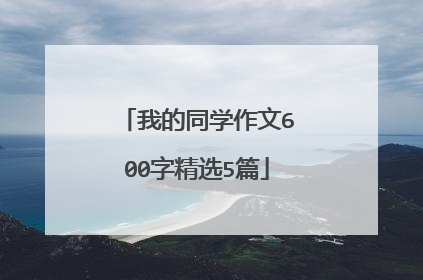 我的同学作文600字精选5篇