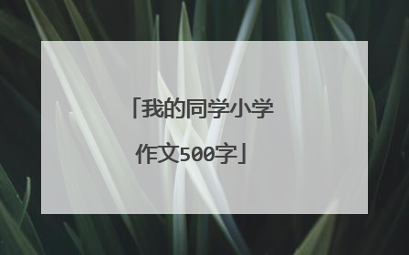 我的同学小学作文500字