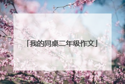 我的同桌二年级作文