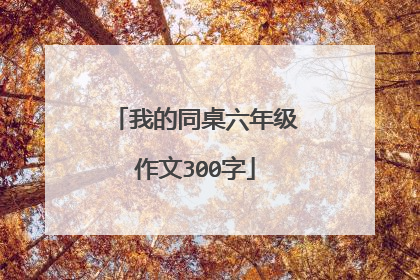 我的同桌六年级作文300字