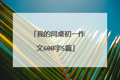 我的同桌初一作文600字5篇