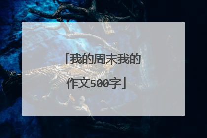 我的周末我的作文500字