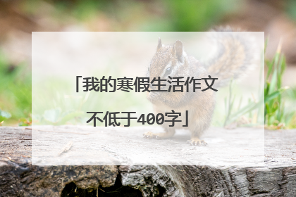 我的寒假生活作文不低于400字