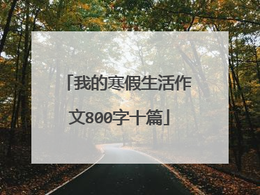 我的寒假生活作文800字十篇