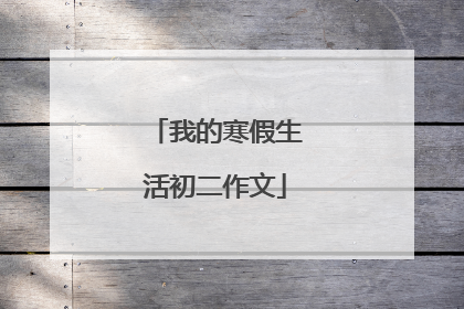 我的寒假生活初二作文