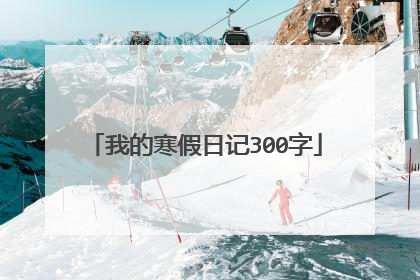 我的寒假日记300字