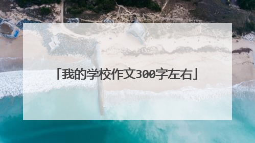 我的学校作文300字左右