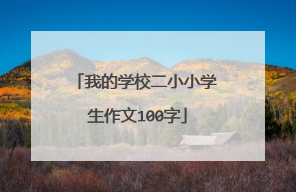 我的学校二小小学生作文100字