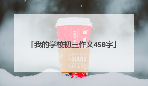 我的学校初三作文450字