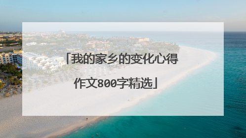 我的家乡的变化心得作文800字精选