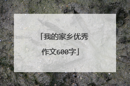 我的家乡优秀作文600字