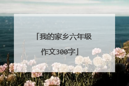我的家乡六年级作文300字