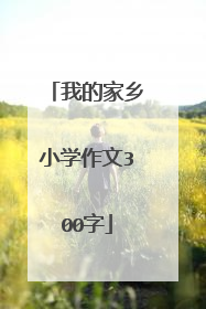 我的家乡小学作文300字