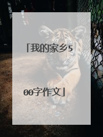 我的家乡500字作文