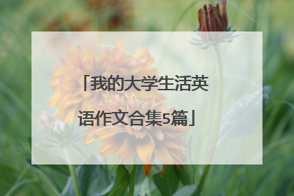 我的大学生活英语作文合集5篇